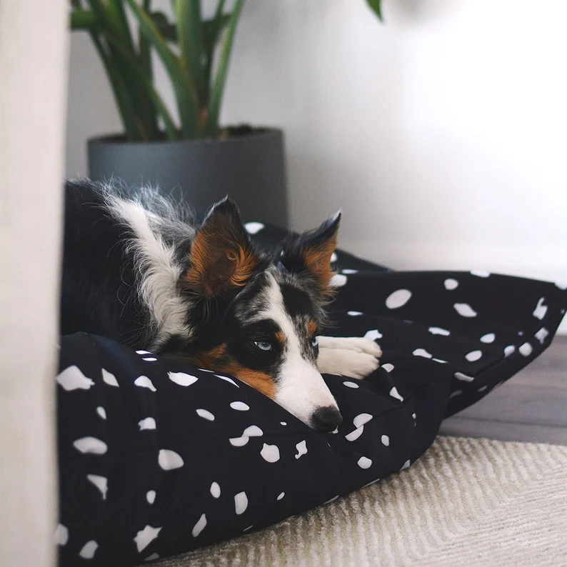 dog-beds-canada