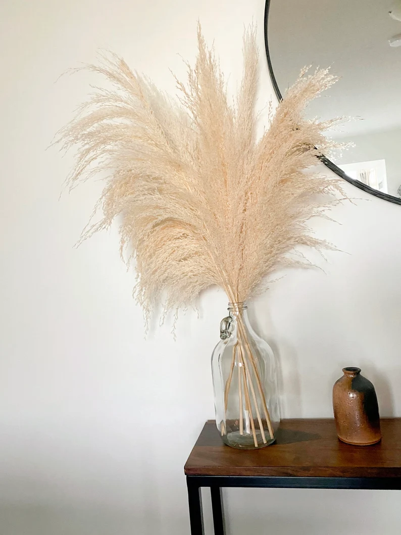 pampas-grass-toronto