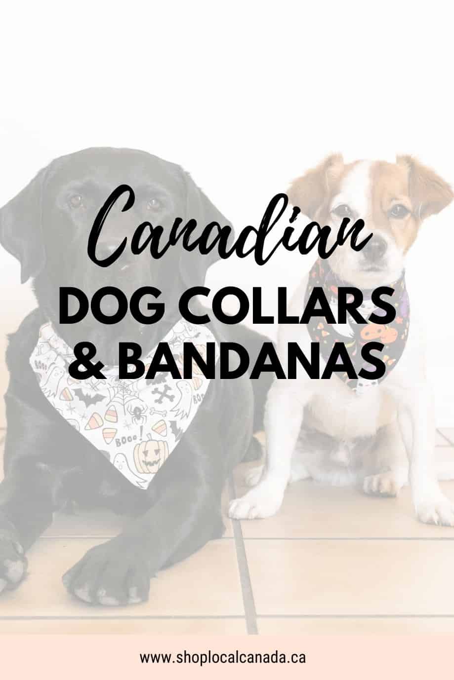 dog-collars-bandanas-canada