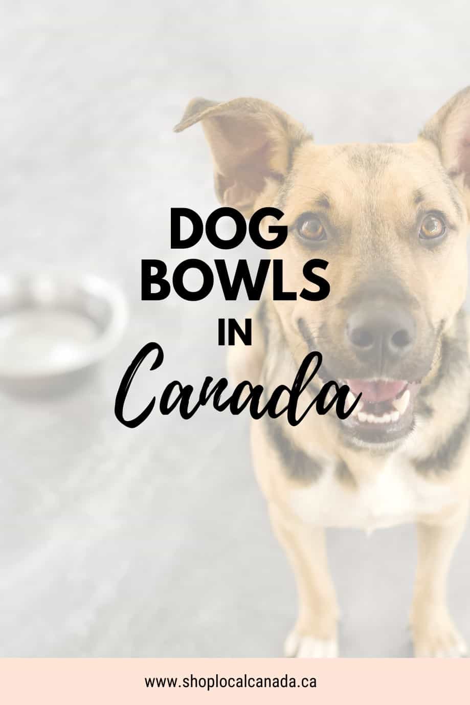 dog-bowls-canada