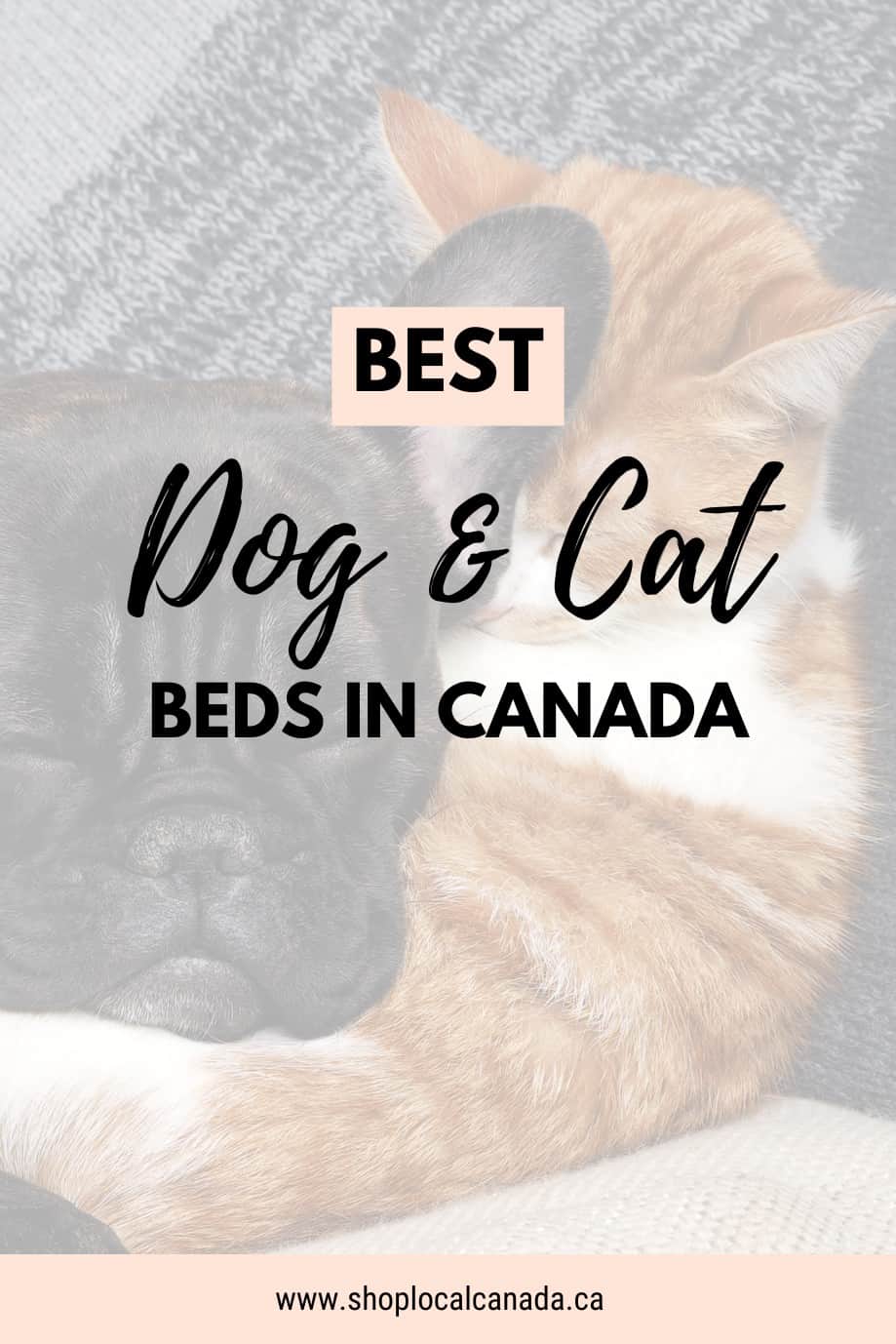 best-dog-cat-beds