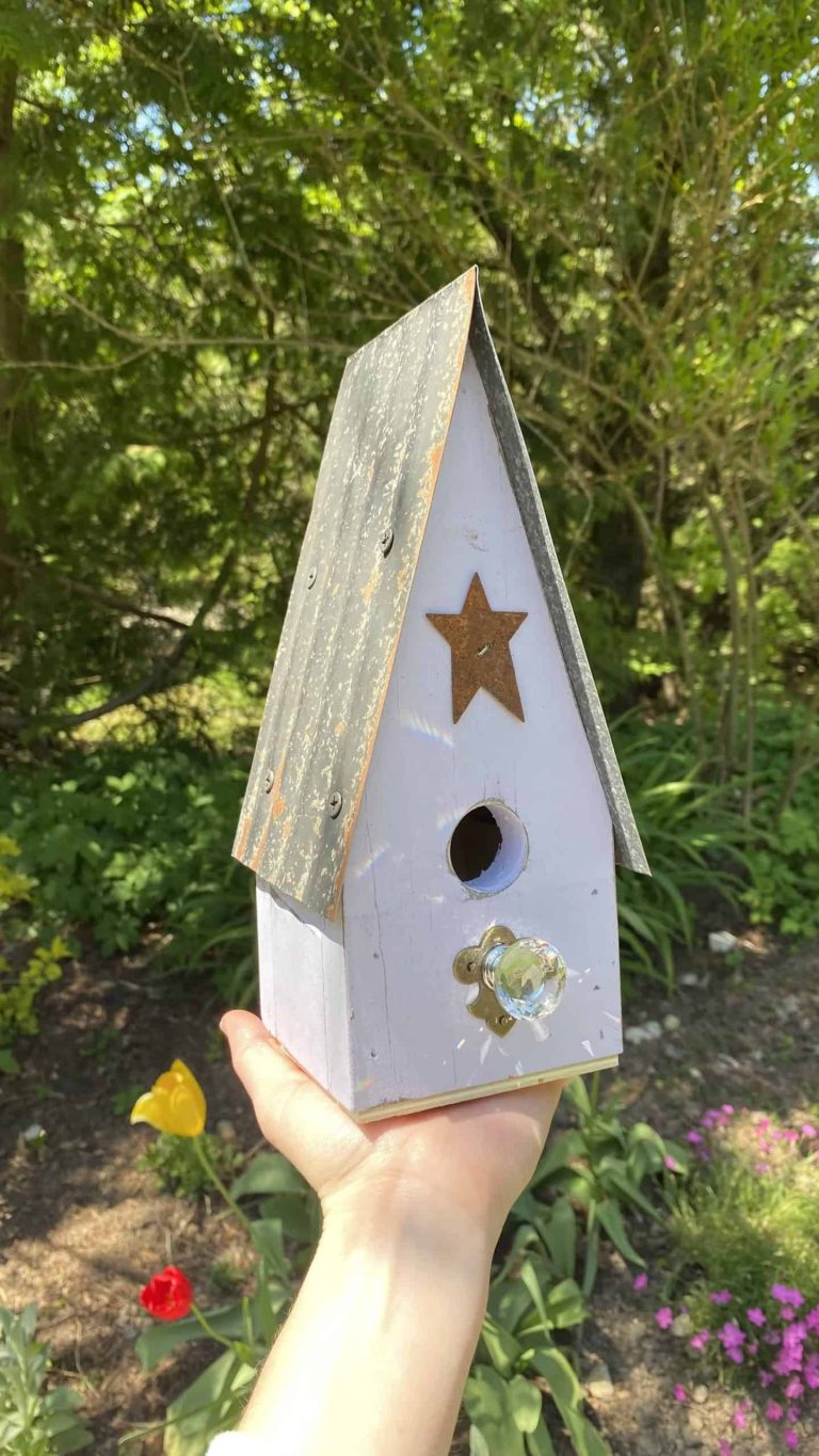 bird-houses-canada