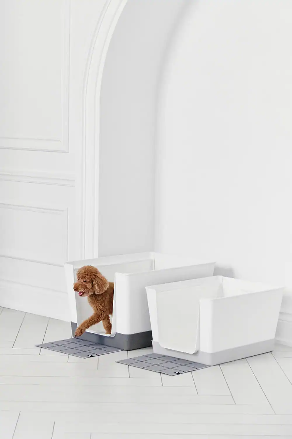 doggy-bathroom