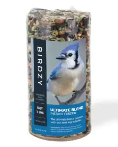 bird-seed