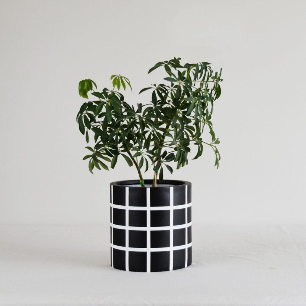 common-house-studio-planters
