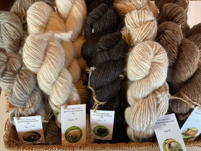knit-pickers-pei