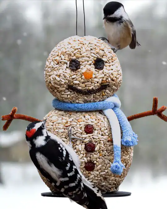 snowman-bird-feeder