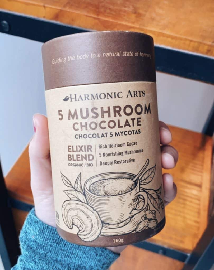 mushroom-chocolate-harmonic-arts